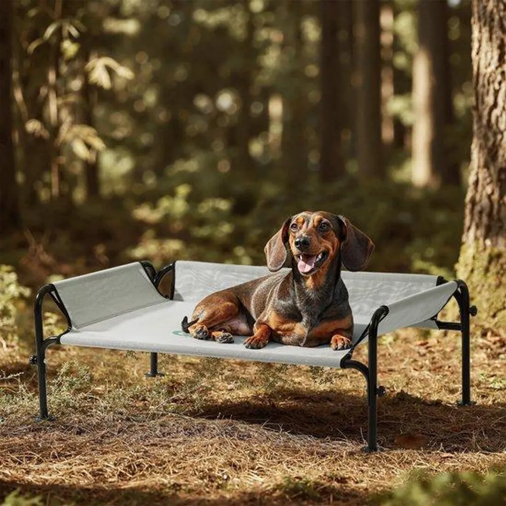 Couchage surélevé pour chien de petite taille gris et châssis en métal