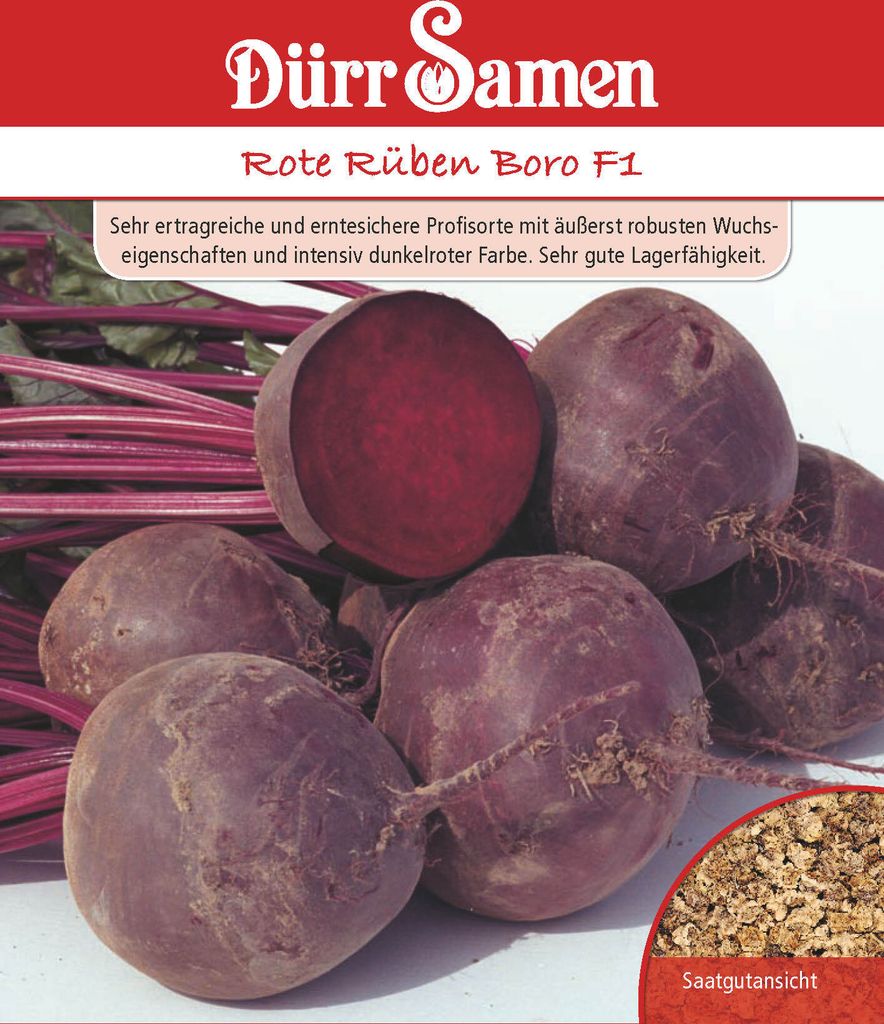 Dürr-Samen - Rote Rüben Boro F1 - Saatgut - 1137