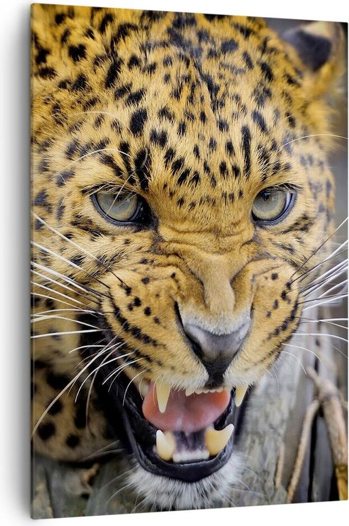 Bild auf Leinwand - Leinwandbild - Einteilig - Leopard tier savanne afrika - 70x100cm - Wand Bild - Wanddeko - Wandbilder - Leinwanddruck - Wanddek...