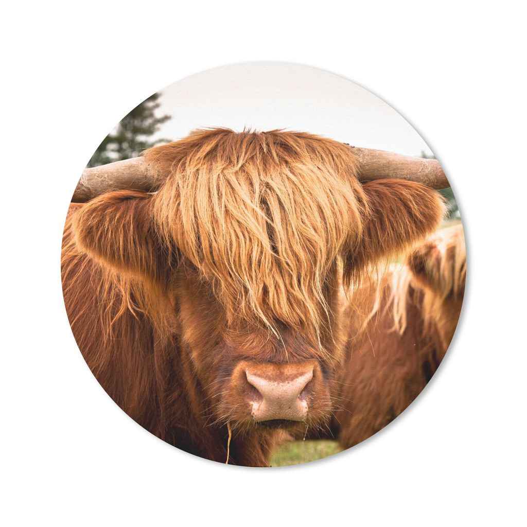 MuchoWow Mauspad Mousepad Schottische Highlander - Braun - Gras 40x40 cm - Mousepads - Maus Mat - Pad - Mausunterlage - Schreibtisch Accessoires