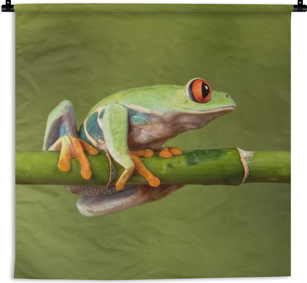 MuchoWow Wandteppich Wandbehang Rotäugiger Quecksilberfrosch auf Bambus 90x90 cm Tapisserie Dekoration Wandtuch - Wandaufhänger