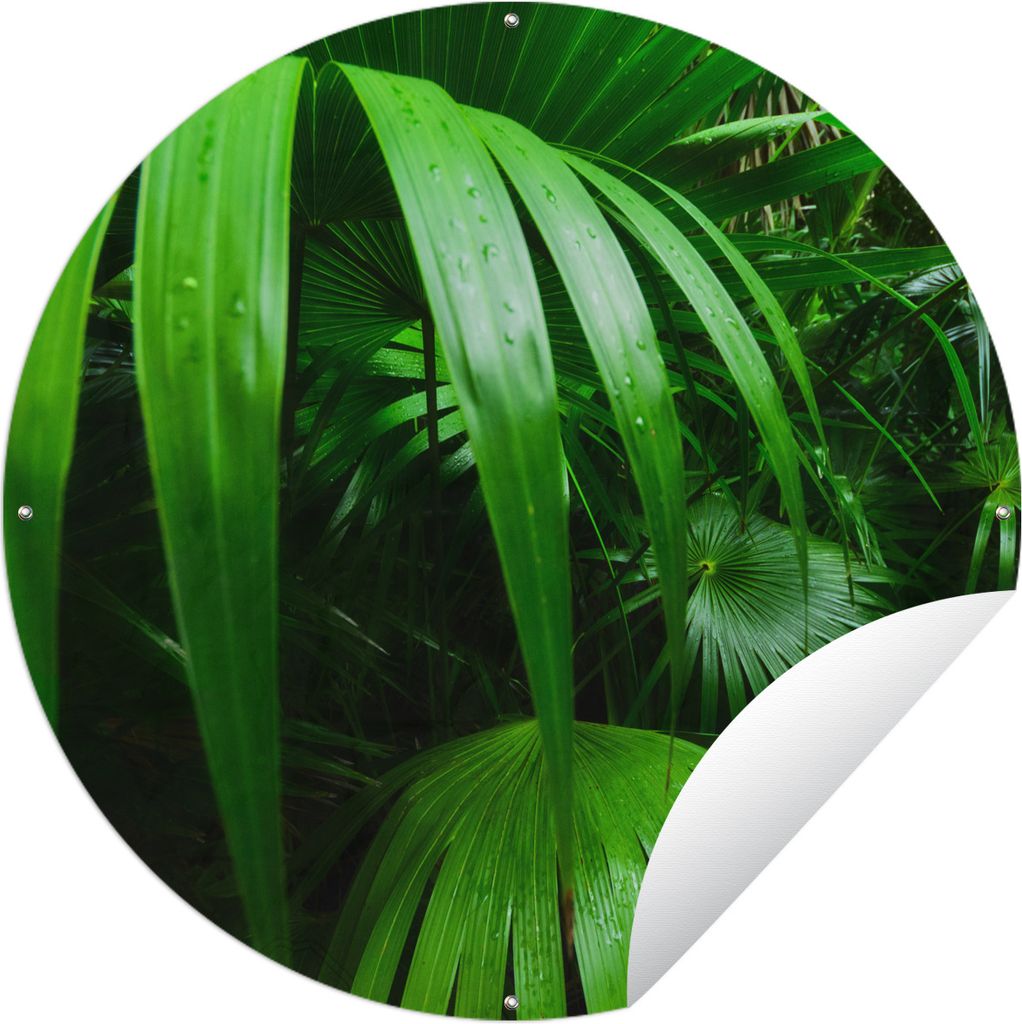 MuchoWow Gartenposter Outdoor-Poster Rund Palmenblätter im Dschungel Ø 60 cm Gartendeko Rundes Poster draußen