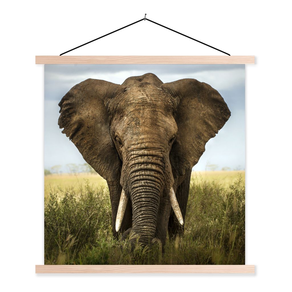 MuchoWow Textilposter Elefant - Natur - Gras - Tiere - Landschaft 40x40 cm mit holzfarbenen Rahmen - Posterleiste