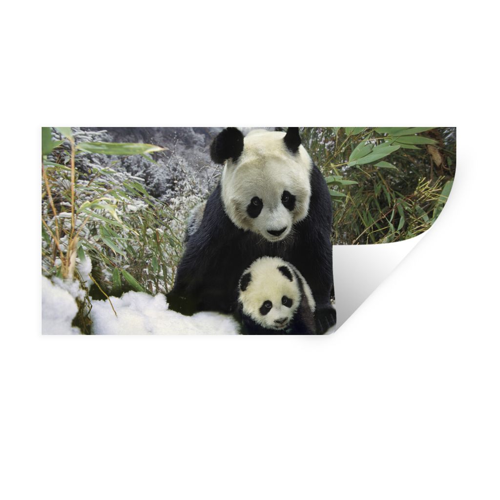 MuchoWow Wandtattoo Wandsticker Wandaufkleber Panda - Jungtier - Schnee 40x20 cm Selbstklebend und Repositionierbar - Aufkleber