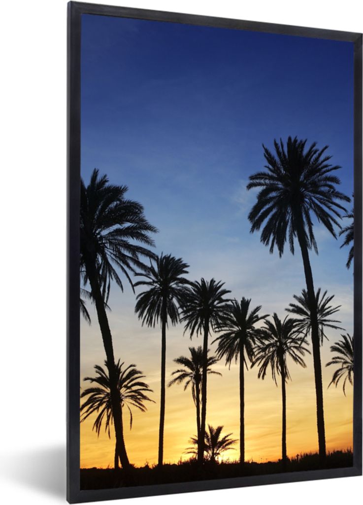 MuchoWow Gerahmtes Poster Palme - Natur - Strand - Sonne - Nacht 60x90 cm - Poster mit Schwarzem Bilderrahmen Wandposter Rahmen Foto Bilder - Kunst