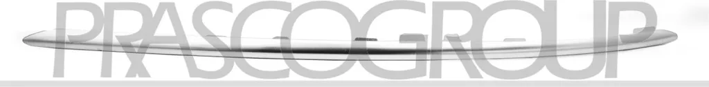 Enjoliveur de Calandre Chromé A2138854602 pour Mercedes Classe E S213