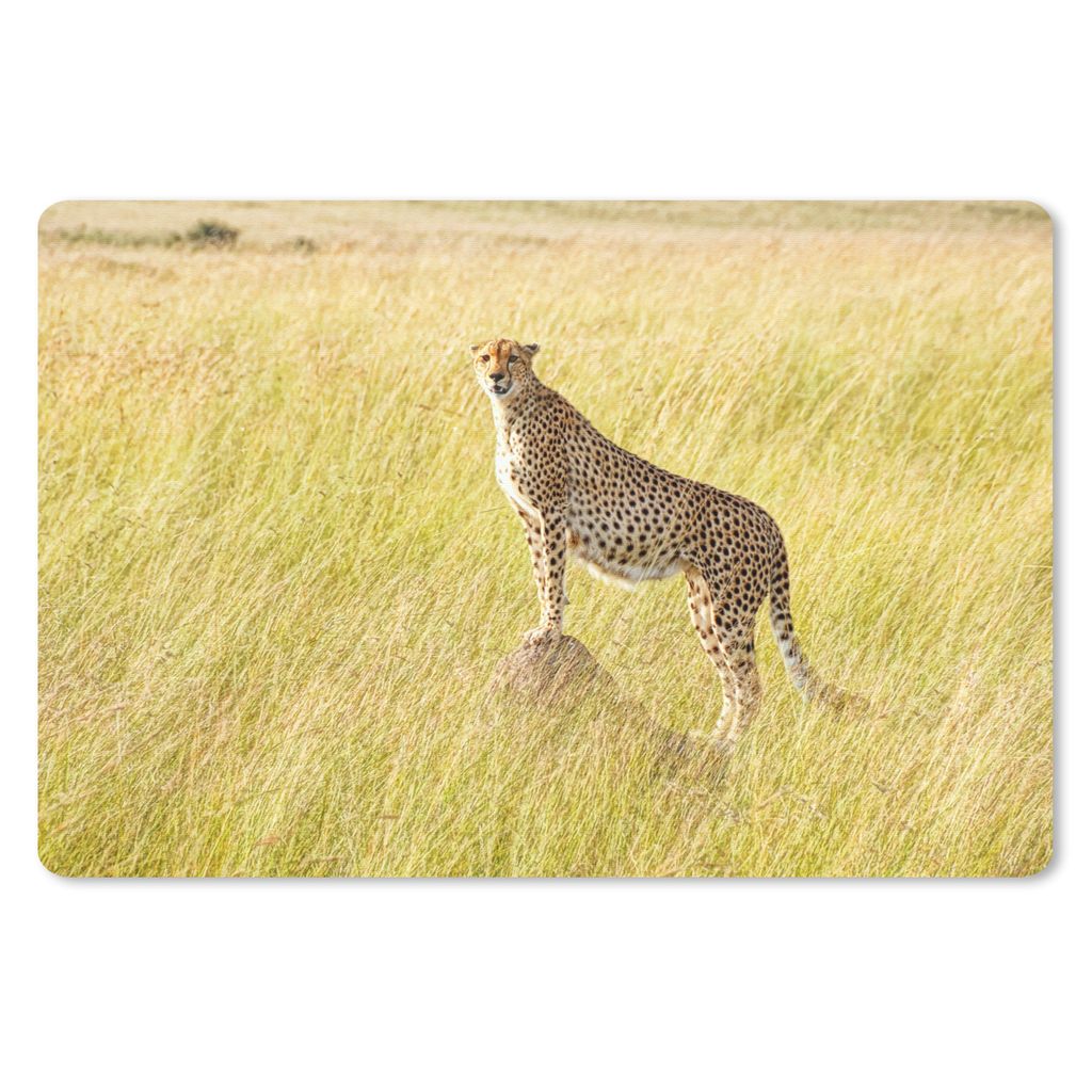 MuchoWow® Mauspad Mousepad Gepard in der Masai Mara 27x18 Produktbild 