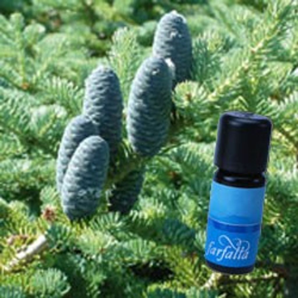 Farfalla - Balsamtanne, kbA, 5 ml