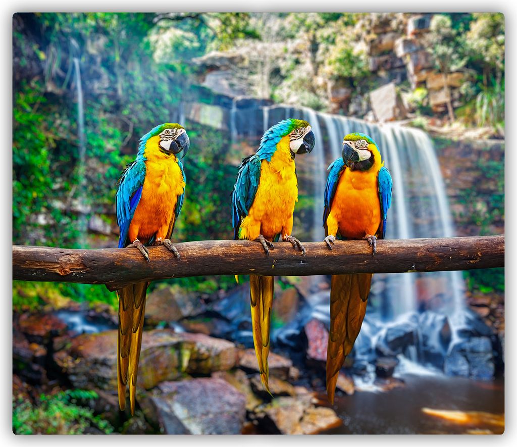 Tulup Glas Herdabdeckplatte Glaskeramikkochfeld-Abdeckung Spritzschutz Glasabdeckplatte Kochplattenabdeckung und Schneidebrett - Einteilig - 60x52 ...