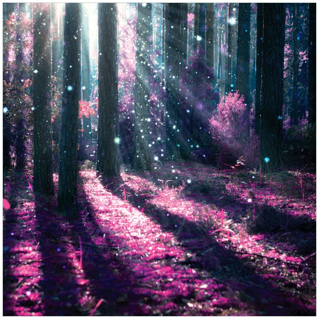 Wallario Wandbild aus Acryl, 50 x 50 cm, freischwebende Optik - Fantasie im Wald - Pinke Blumen in der Sonne