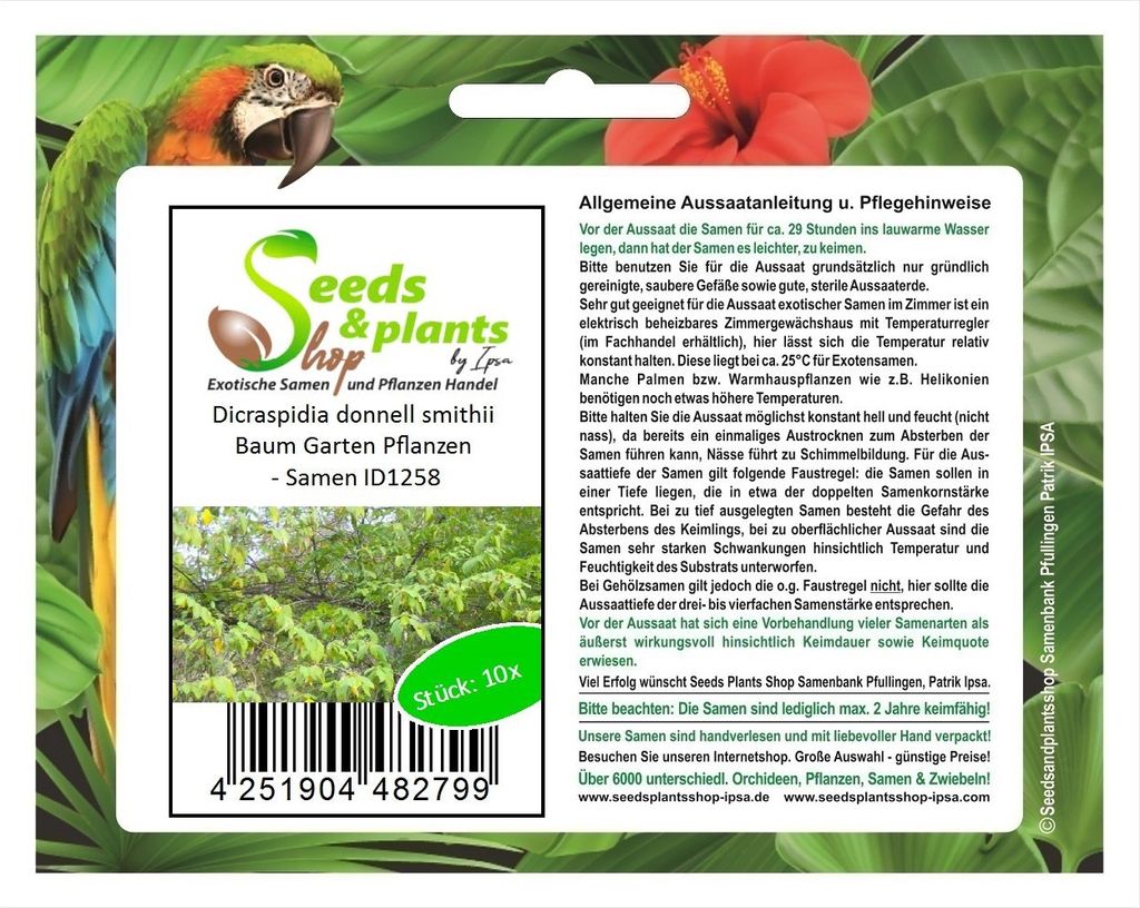 10x Dicraspidia donnell smithii Baum Garten Pflanzen - Samen ID1258