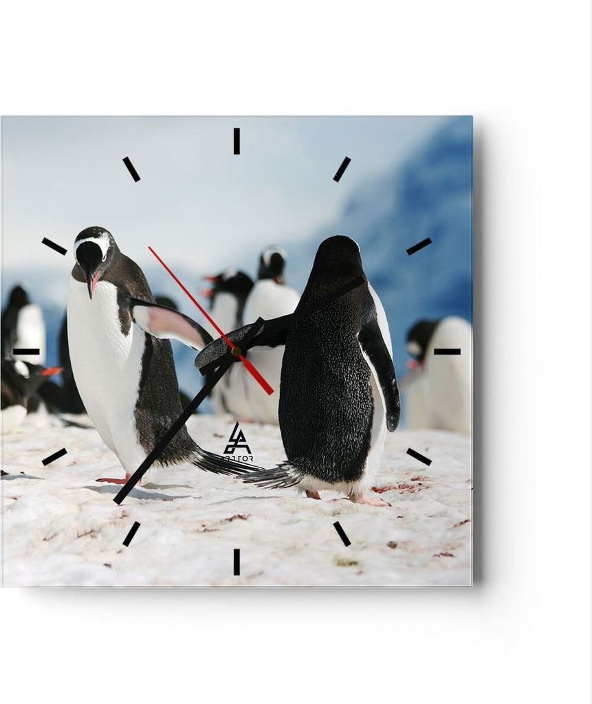 Wanduhr - Quadrat - Glasuhr - Pinguine Winter Natur Schnee - 40x40cm - Schleichendes Uhrwerk - Lautlos - zum Aufhängen bereit - Dekoration Modern ...