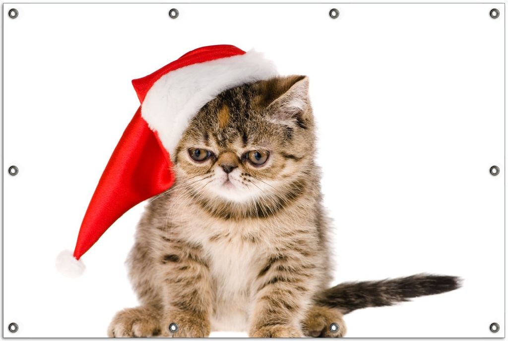 Wallario Outdoor-Poster für Garten oder Balkon, Motiv Ich hasse Weihnachten - mürrische Katze mit Weihnachtsmütze, in ca. 100 x 150 cm