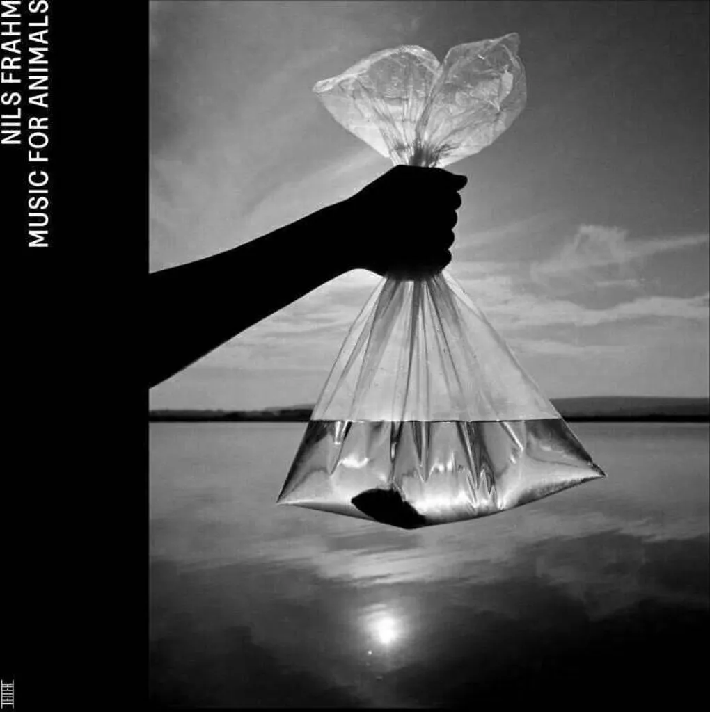 Album Nils Frahm Music For Animals pour Platine Vinyle Haute Fidélité