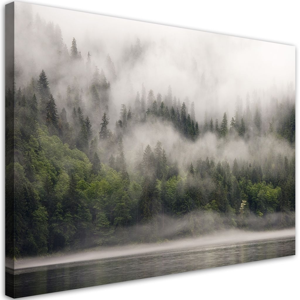 Leinwandbild Wald im Nebel Landschaft 60x40 Feeby Grün bild für die wand bereit zum aufhängen