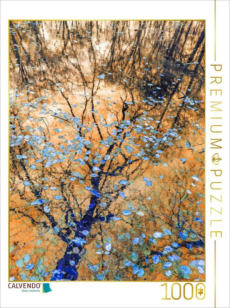CALVENDO Puzzle Wo Erinnerungen wie Bläter treiben | 1000 Teile Lege-Größe 64x48cm Foto-Puzzle für glückliche Stunden