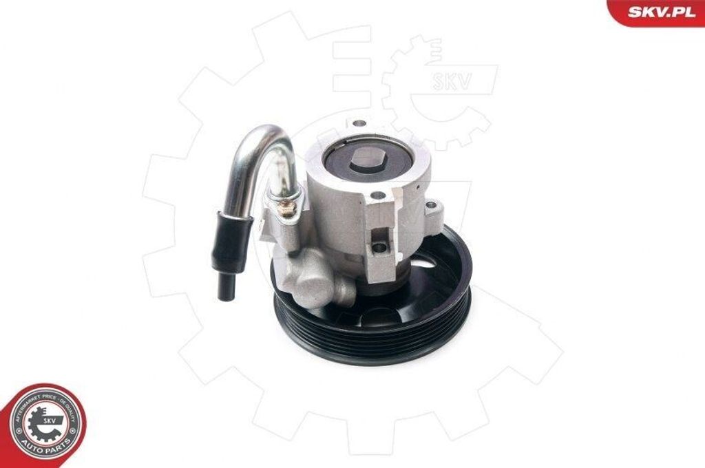 ESEN SKV 10SKV206 Servolenkung Pumpe Servopumpe für CHEVROLET Aveo / Kalos Schrägheck (T250, T255) Hydraulisch
