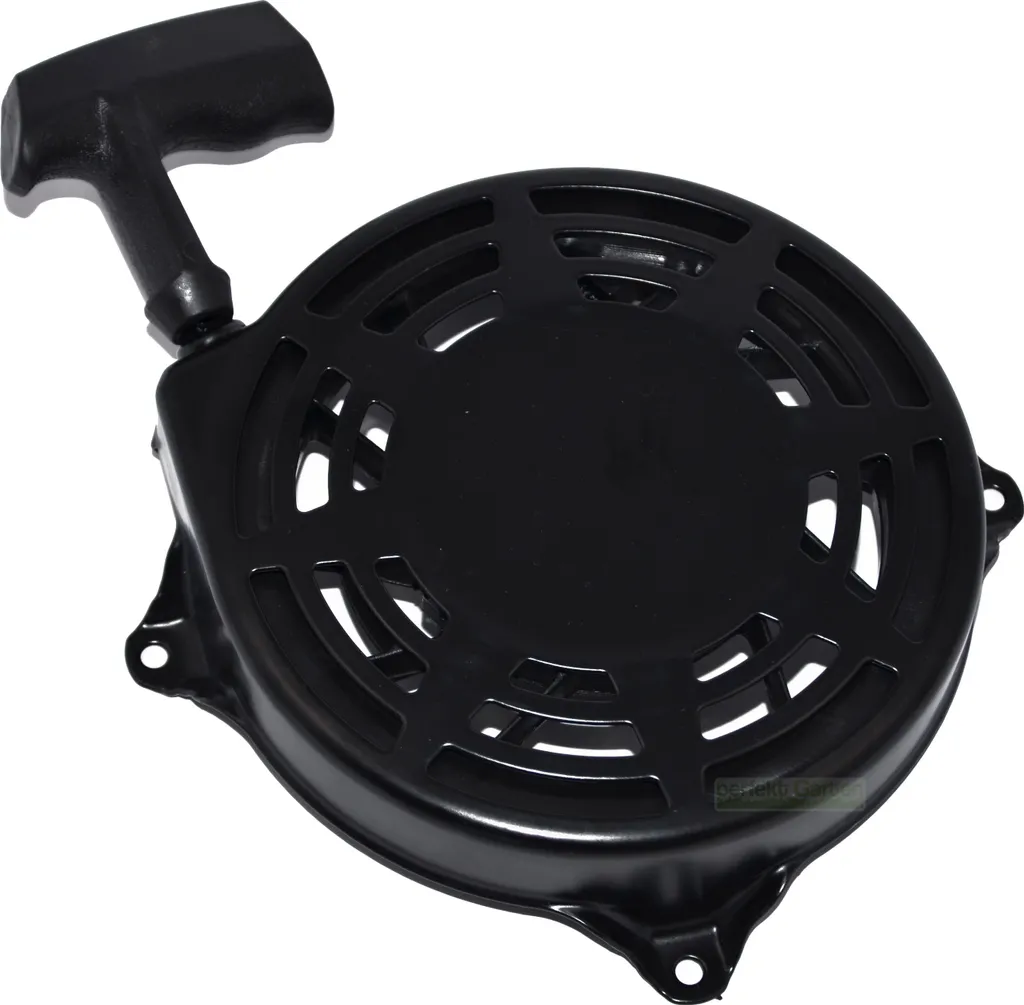 Avviamento a Strappo Briggs & Stratton Quantum 497598 493295 497680