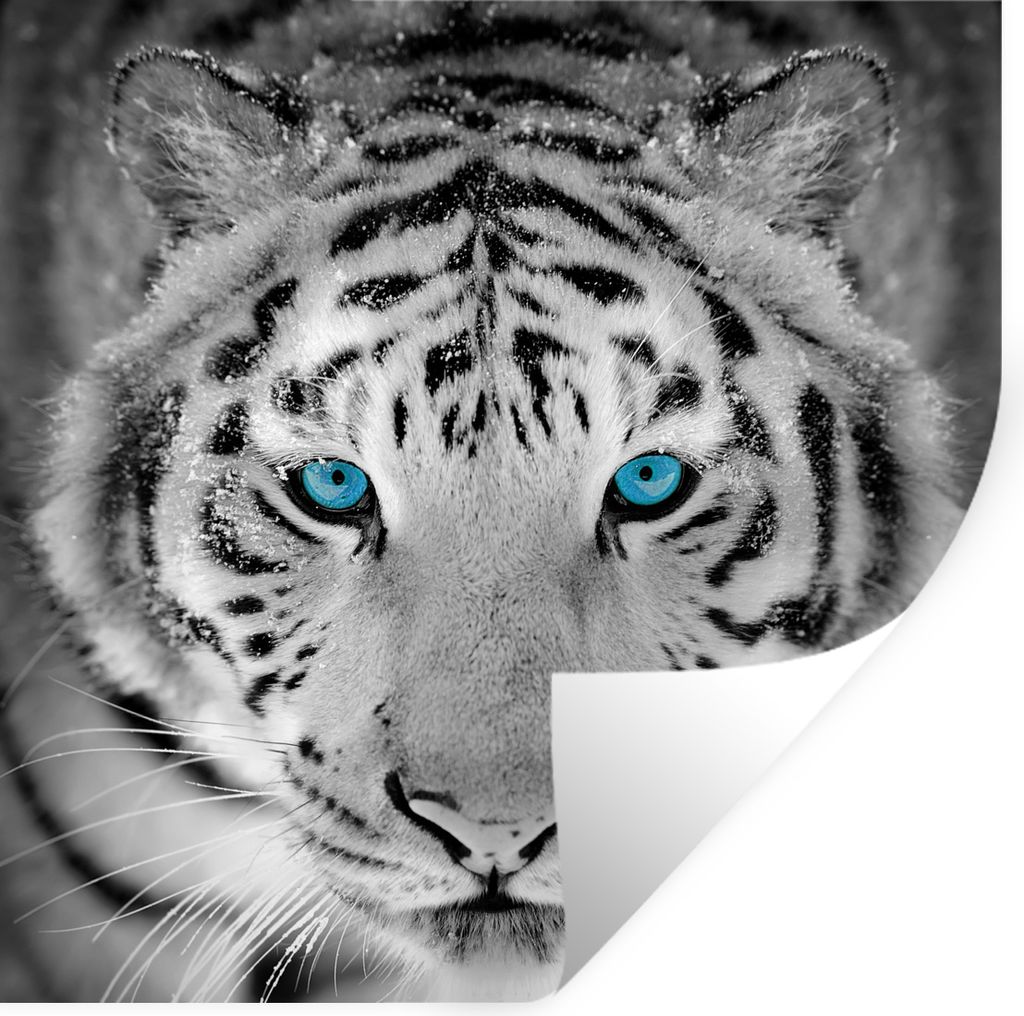 MuchoWow - Repositionierbar - Wasser abweisend