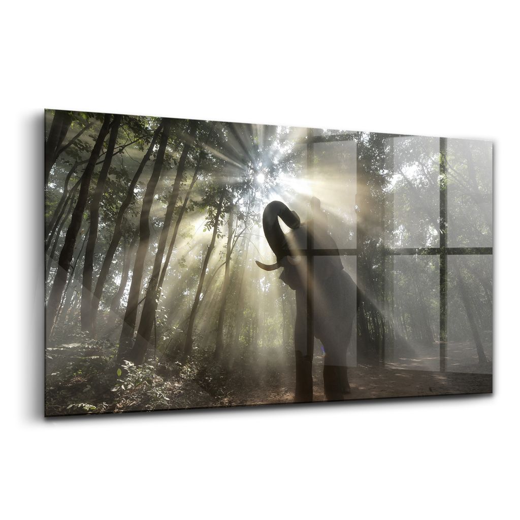 Glasmalerei - dekorative Malerei - moderne Malerei - 100x50 - Elefant im Dschungel