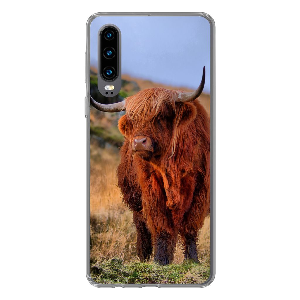 MuchoWow Handyhülle Schutzhülle Hülle für Huawei P30 Schottische Highlander - Gras - Steine Silikon Softcase Handy Hülle - Kartenbesitzer