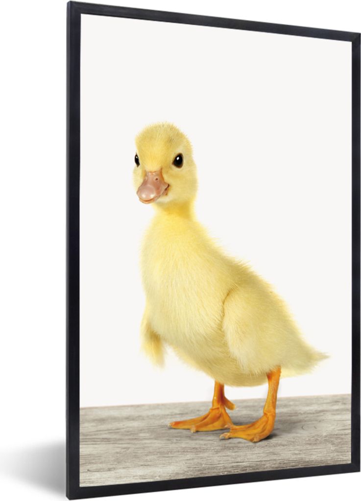 MuchoWow Gerahmtes Poster Ente - Küken - Tiere - Süß - Mädchen - Jungen - Kinder 40x60 cm - Poster mit Schwarzem Bilderrahmen Wandposter Rahm...