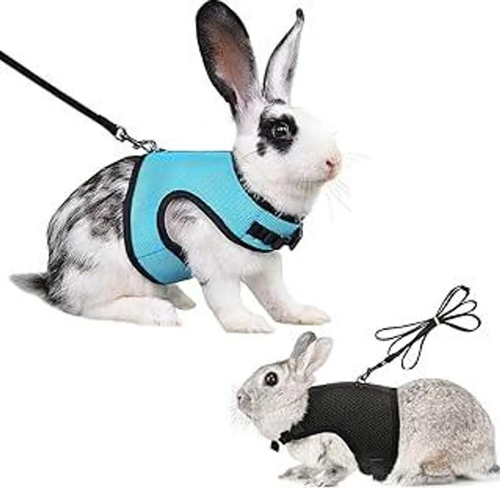 Pettorina per Coniglio Morbida Regolabile Set 2 Pezzi Jogging