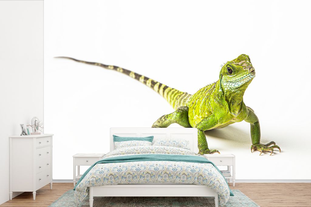MuchoWow Fototapete für Wohnzimmer oder Schlafzimmer Wandtapete Vinyl Motivtapete Eidechse - Reptil - Weiß - 420x280 cm - Zimmer für Kinder