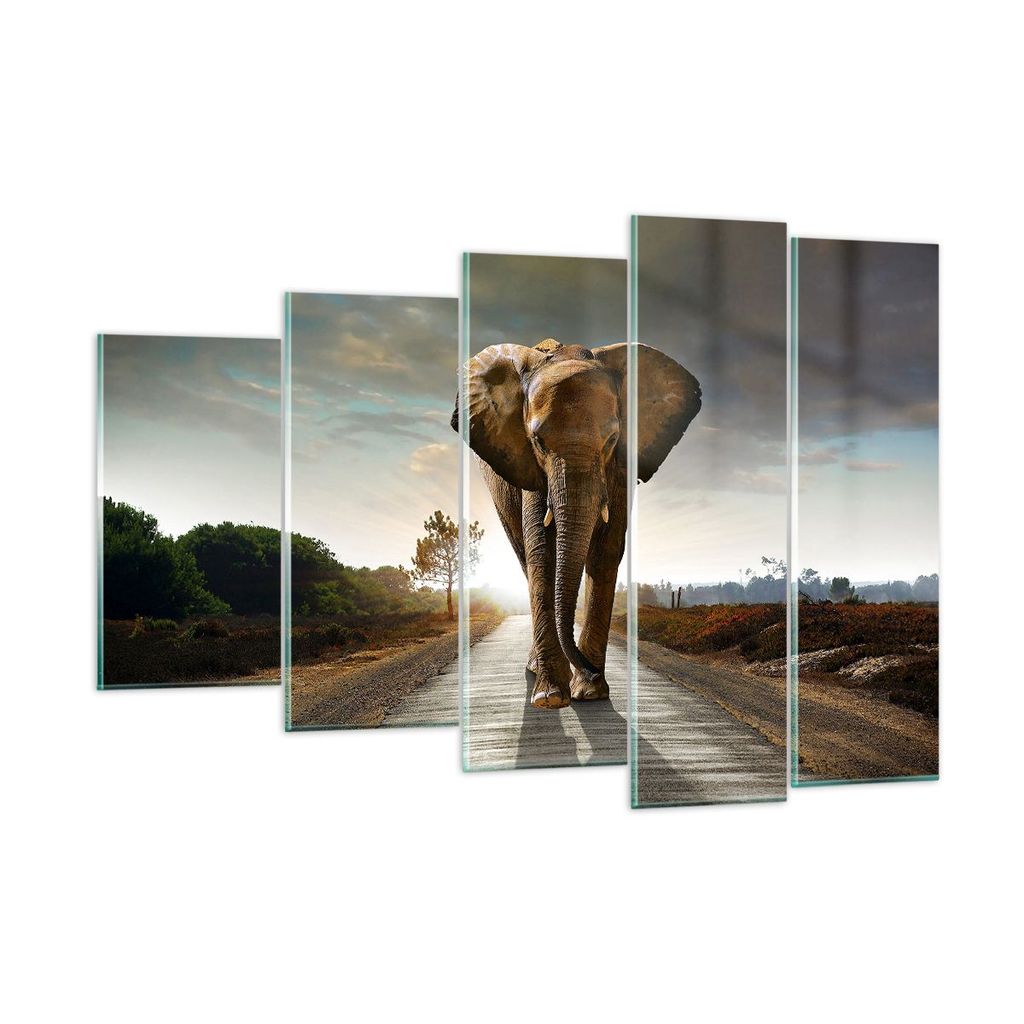 Bilder auf glas - Elefant Straße Landschaft - 150x100cm - Glasbilder - Wandbilder - Kunstdruck - zum Aufhängen bereit - Wanddekoration aus Glas -...
