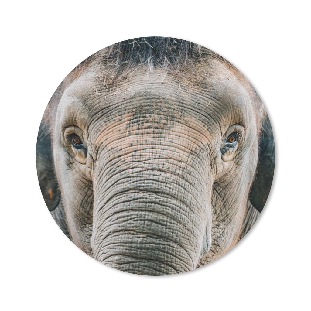 MuchoWow Mauspad Mousepad Elefant - Porträt - Tiere - Grau 30x30 cm - Mousepads - Maus Mat - Pad - Mausunterlage - Tischunterlage - Schreibtisch...