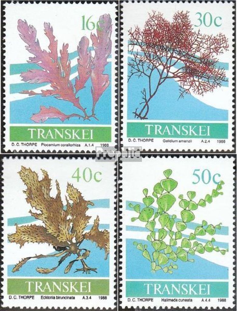 Briefmarken Südafrika - Transkei 1988 Mi 214-217 (kompl.Ausg.) postfrisch Meeresalgen