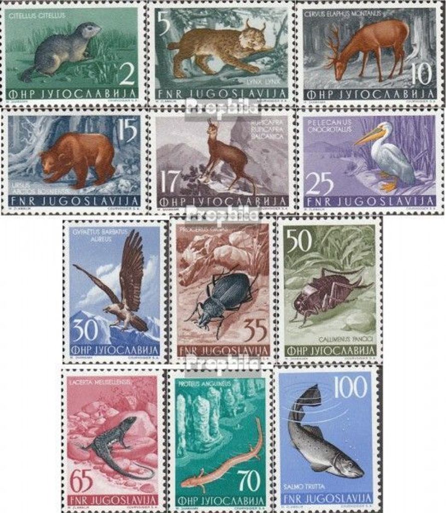 Briefmarken Jugoslawien 1954 Mi 738-749 (kompl.Ausg.) postfrisch Jugoslawische Fauna