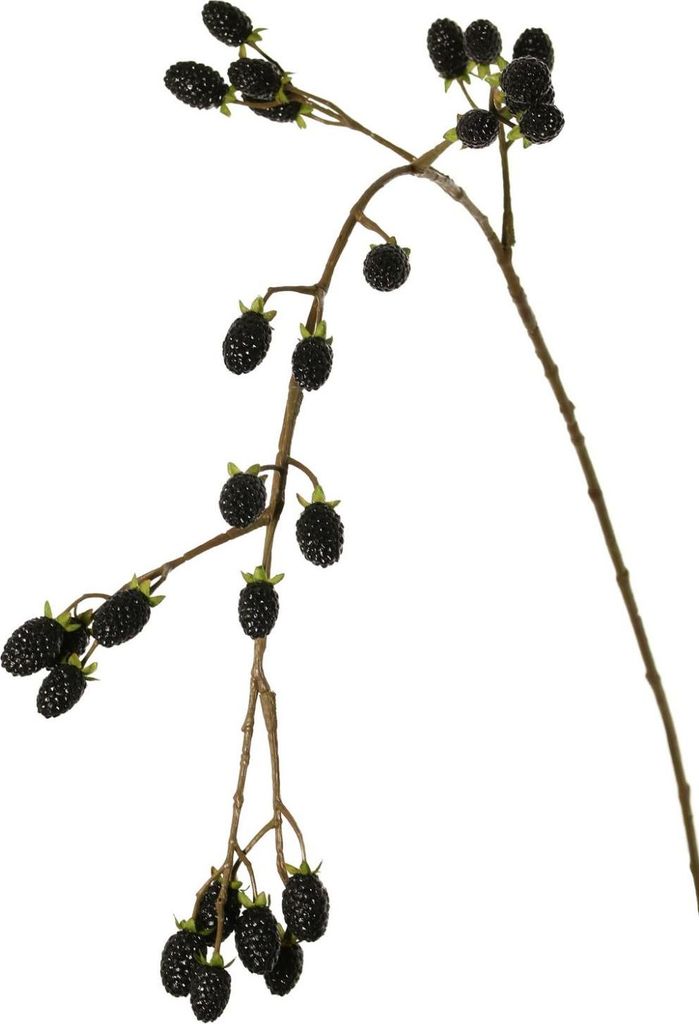 artplants.de Künstlicher Zweig Brombeere URUMA mit Früchten, schwarz, 100cm - Künstlicher Deko Zweig