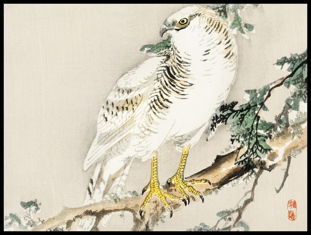 Plakat 80x60cm Nordlicher Spottdrossel, Kōno Bairei Vintage für das Wohnzimmer
