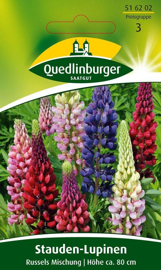 Artikelbild 2 von 'Stauden-Lupine Russels Hybrid-Mischung' aus der Kategorie Lupinensamen