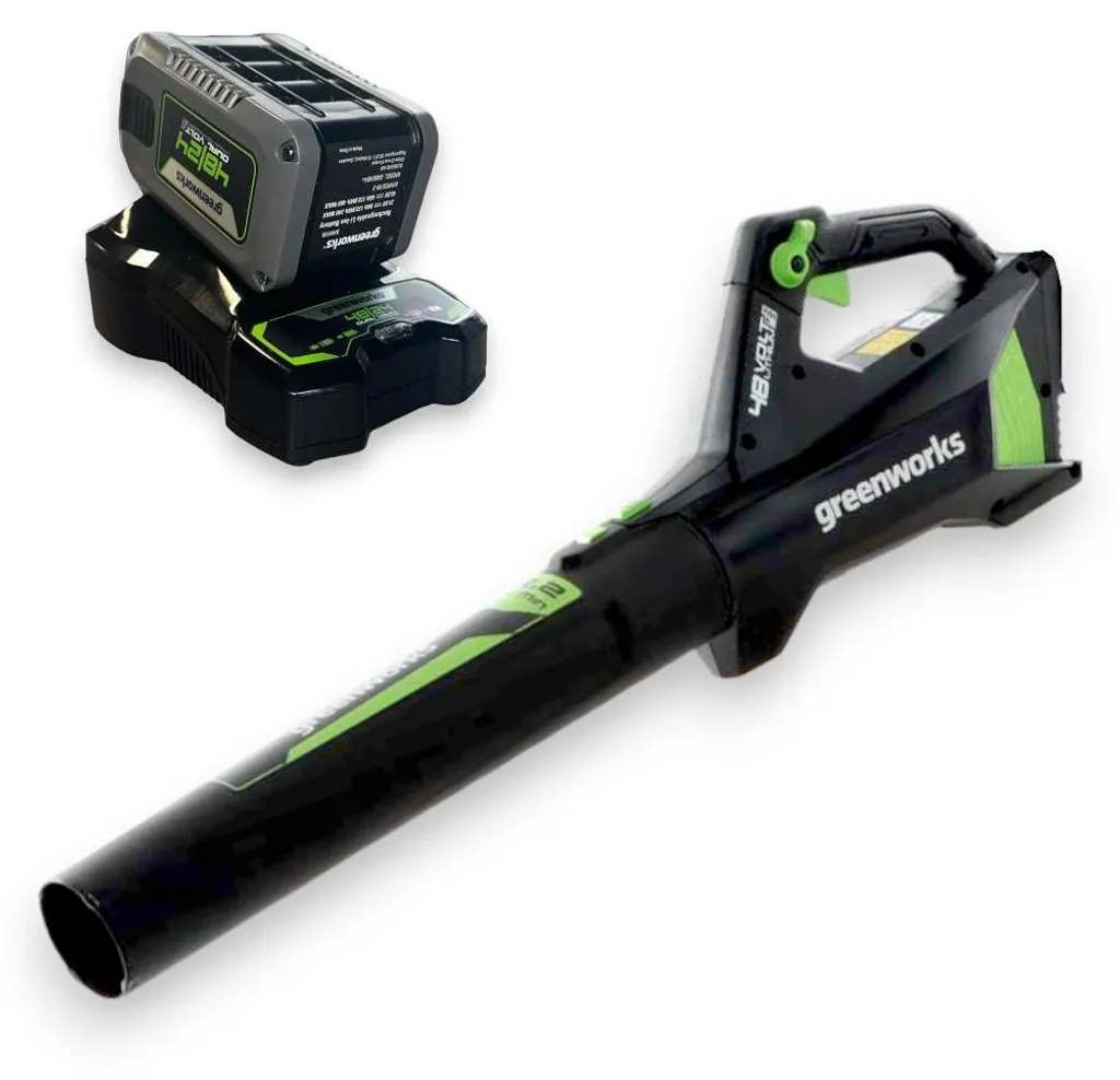 Souffleur Axial Sans Fil 48V Greenworks GD48ABK2 - Kit Batterie + Chargeur