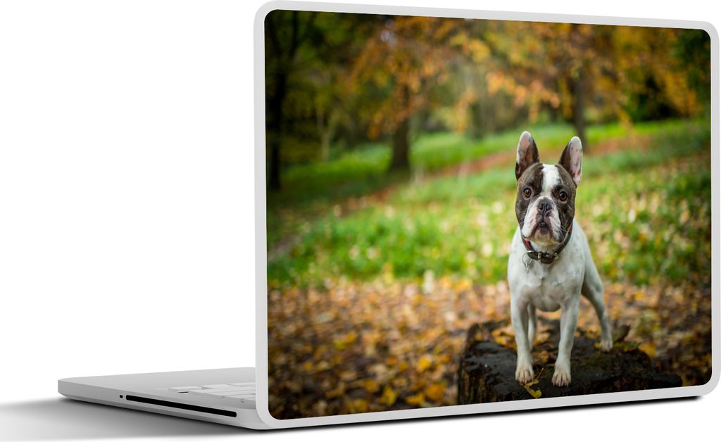 MuchoWow Laptop Aufkleber Sticker Cover Französische Bulldogge - Herbst - Baumstamm 32.5x23.5 cm - Sticker für Laptop - Selbstklebend