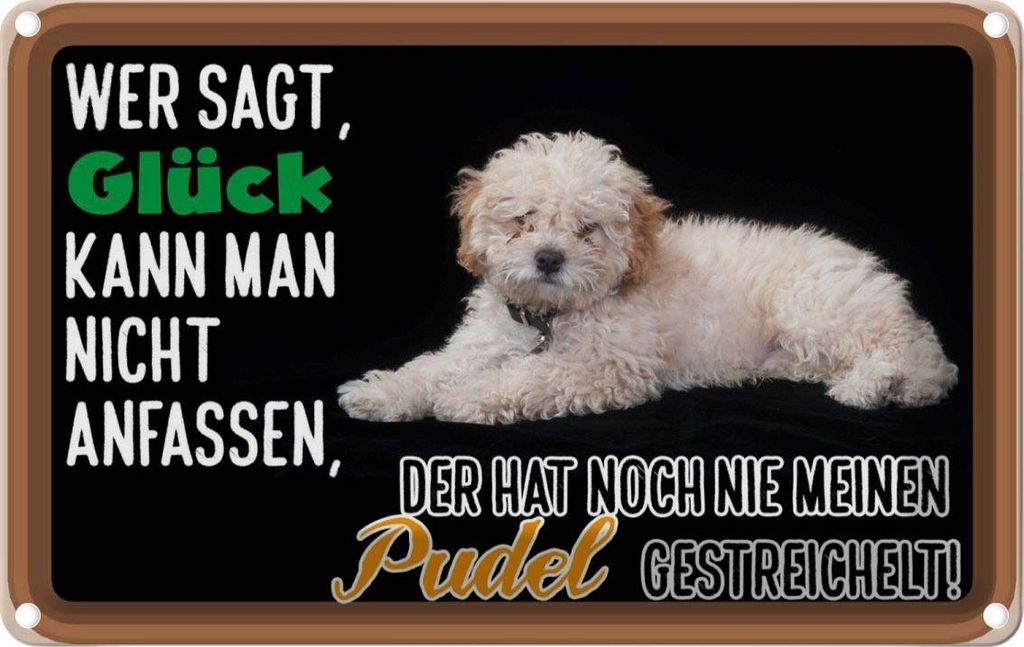 vianmo Blechschild 20x30 cm Glück nicht anfassen Pudel Hund Spruch Zitat