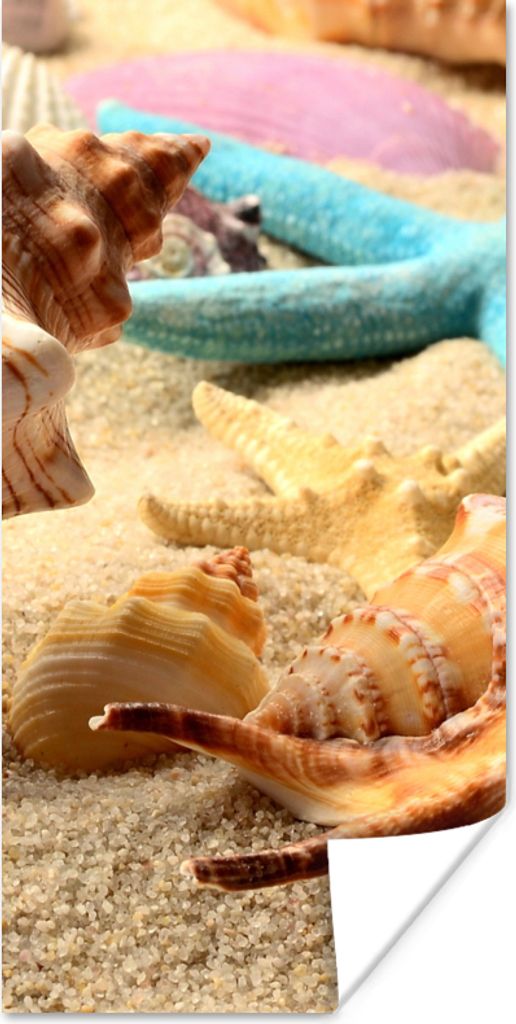 MuchoWow Poster Seesterne - Muscheln - Sand - Strand 75x150 cm - Dekoration für die Wände