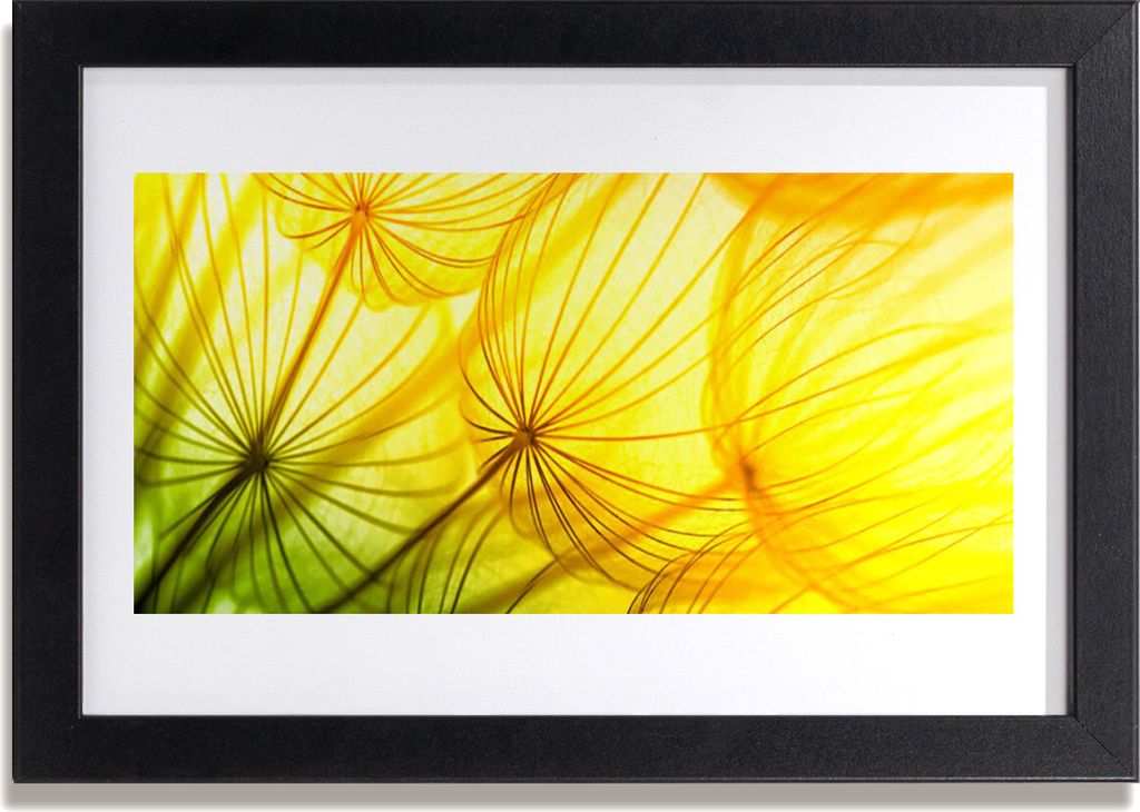 Bild 30x20 MDF-Rahmen Wandkunst Löwenzahn Blumen Natur