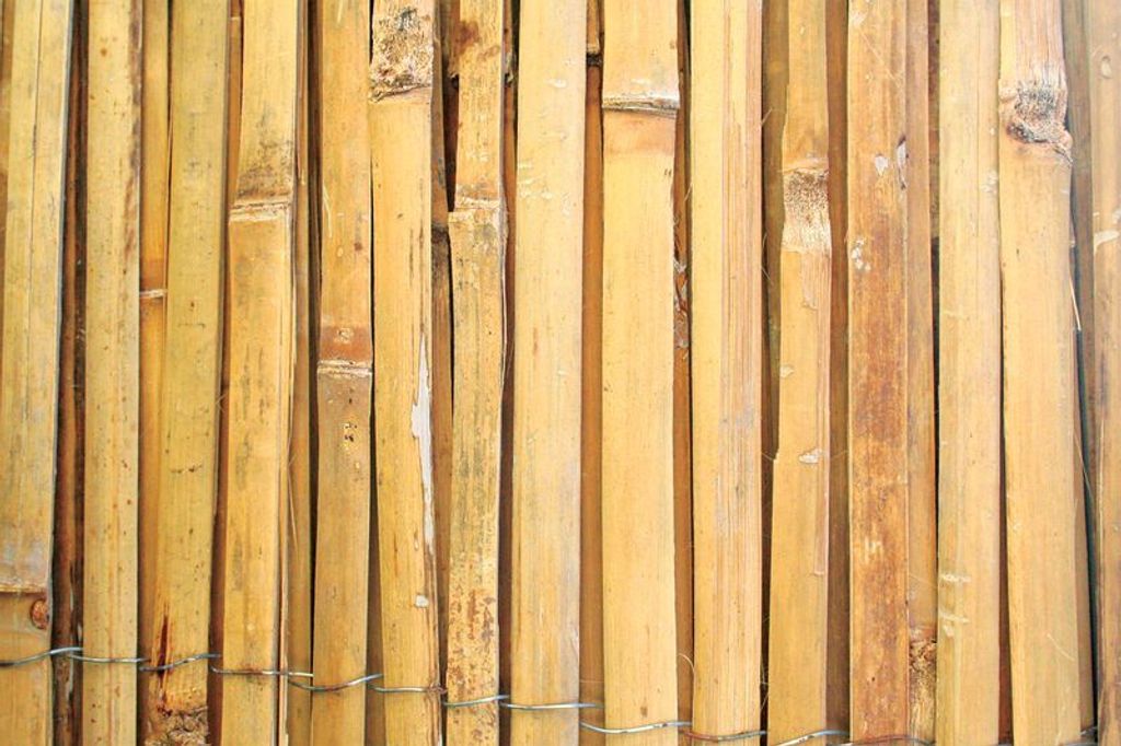 A close-up view of a bamboo fence.