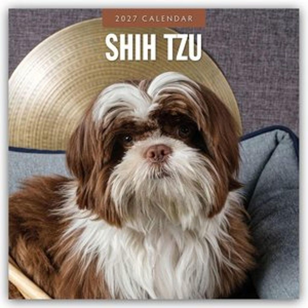 Shih Tzu 2027 - 16-Monatskalender Produktbild 