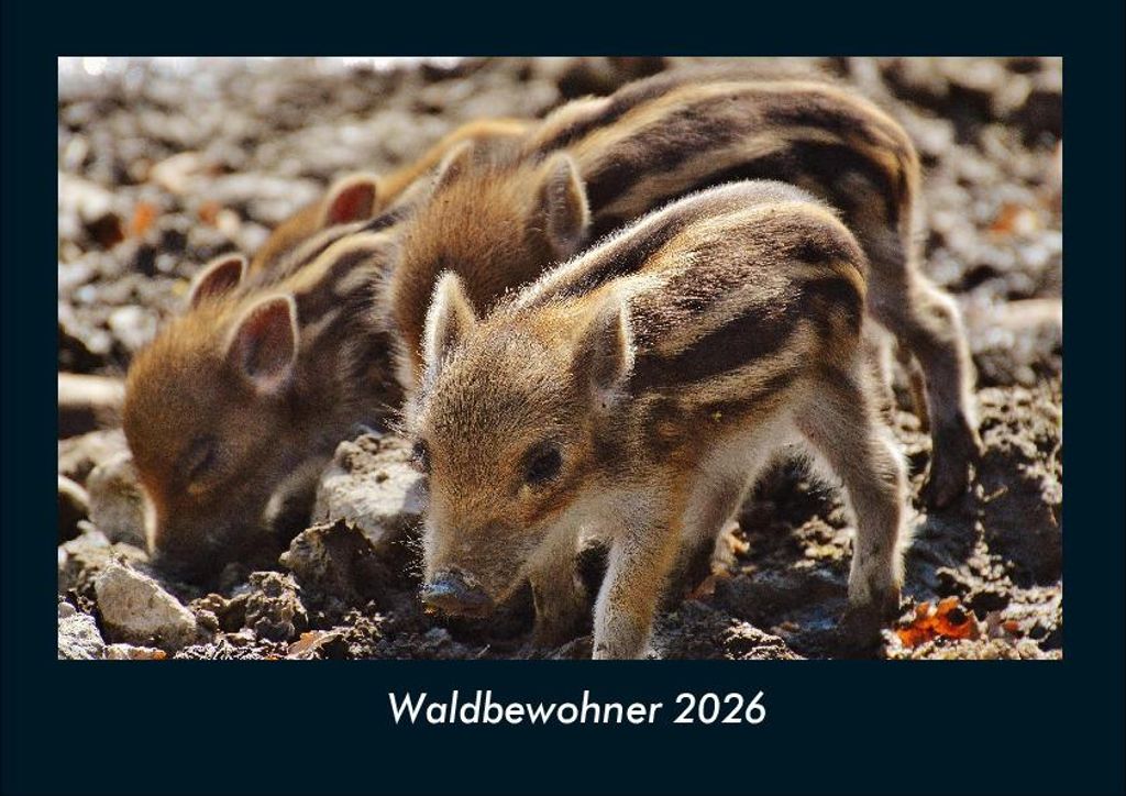 Waldbewohner 2026 Fotokalender DIN A4