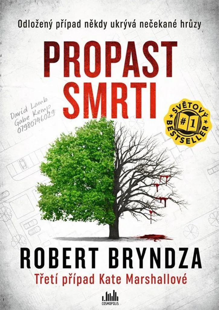 Propast smrti de Robert Bryndza - Le Thriller pour Ne Plus s'Ennuyer