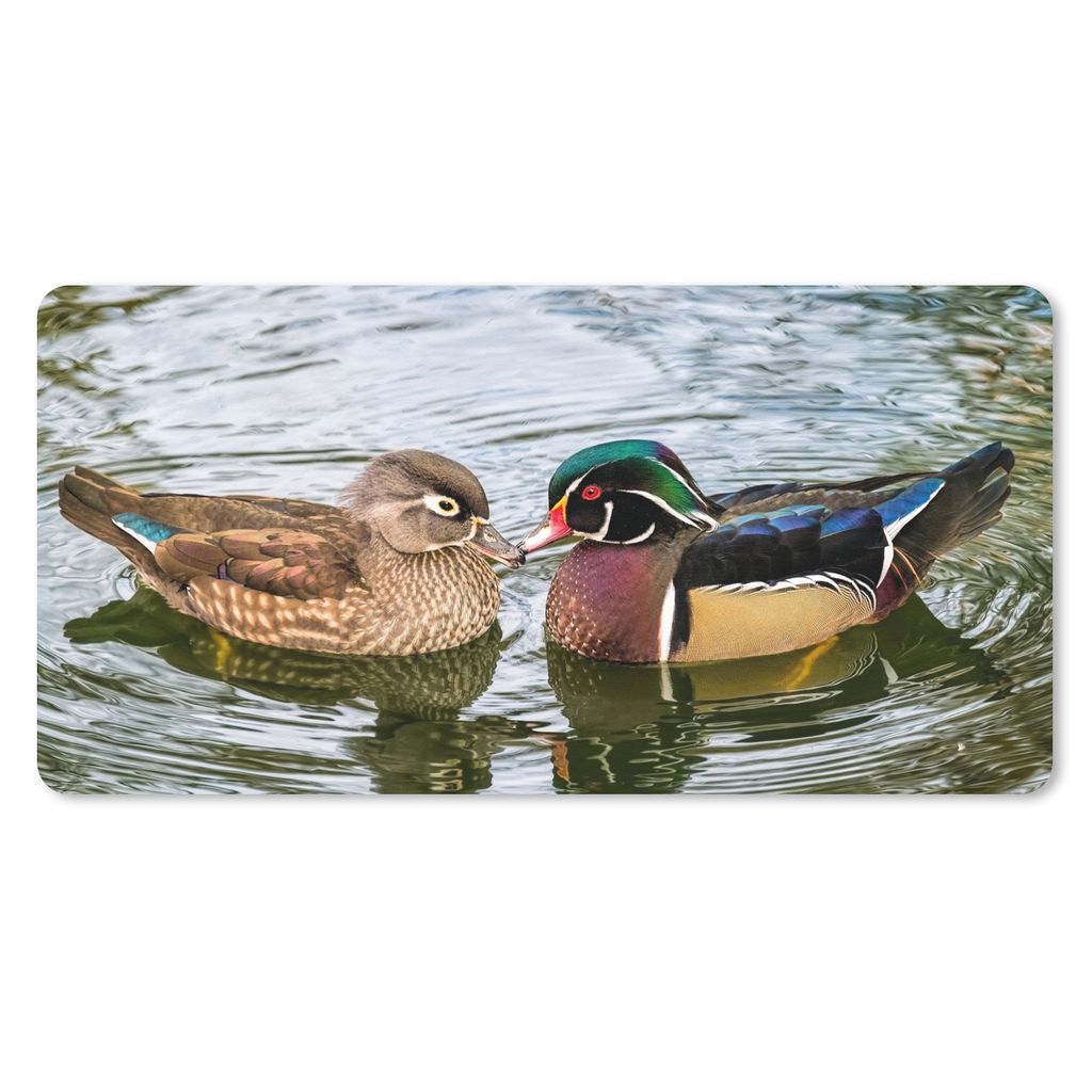 MuchoWow Schreibtischunterlage Ente - Vögel - Wasser - Federn - Tiere 80x40 cm - XXL Mauspad - Gaming Mauspad