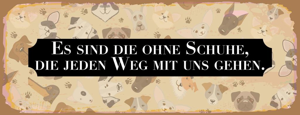 vianmo Blechschild 10x27 cm Es sind die ohne Schuhe