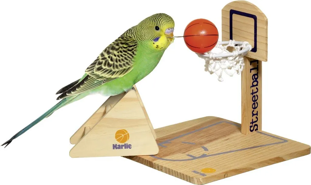 Filet de Jeu Netball pour Perroquet 20 cm - Accessoire Cage Oiseau