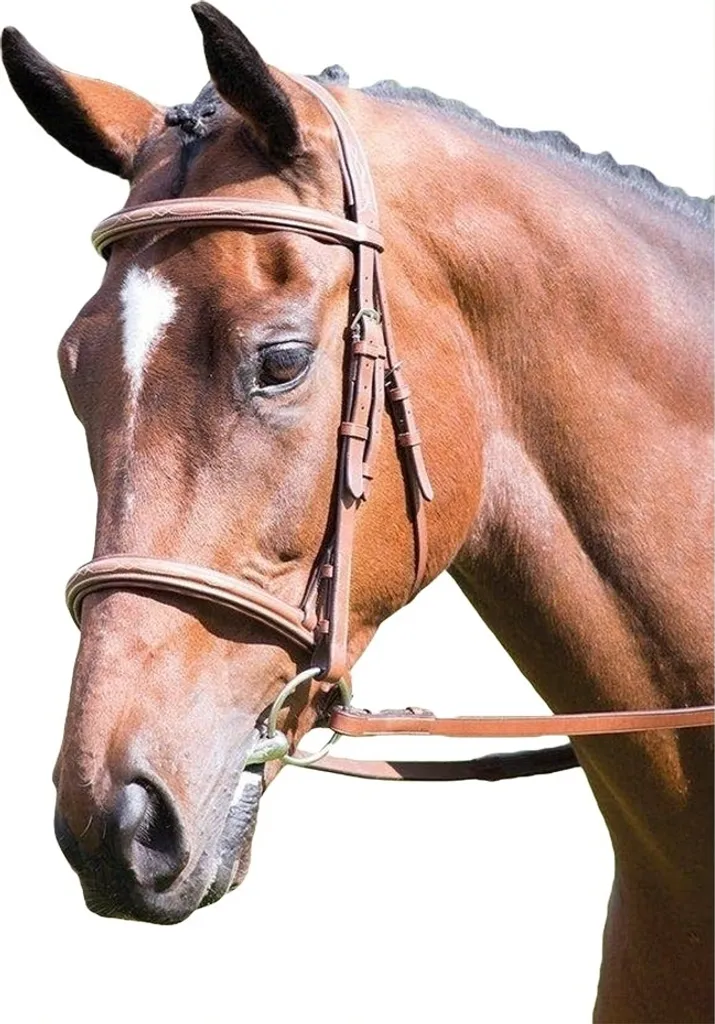 Avignone - Briglia Cavesson Hunter, cuoio ER435 (Full) (Marrone scuro) - 1