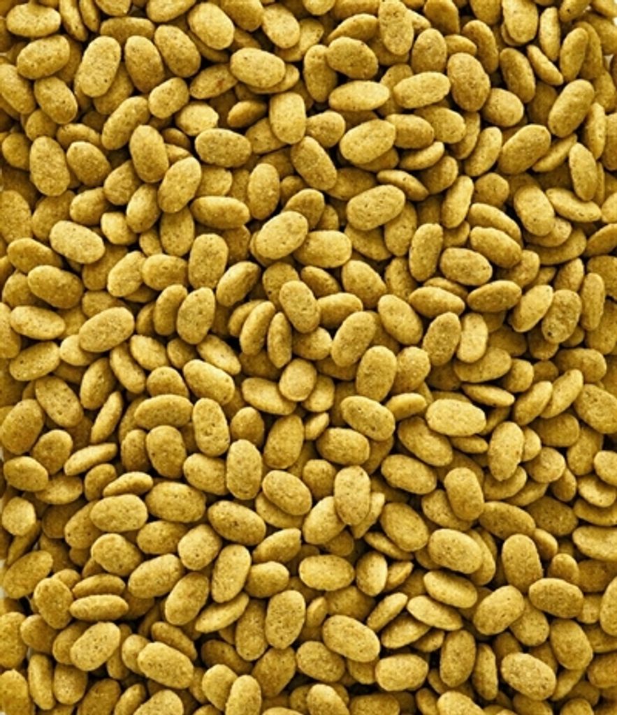 Nutribird P15 Original Pflegefutter