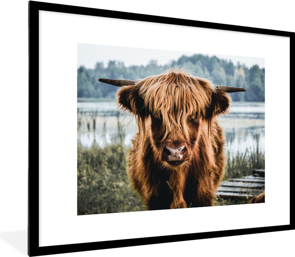 MuchoWow Gerahmtes Poster Kühe - Schottische Hochlandbewohner - Braun - Natur 80x60 cm - Poster mit Schwarzem Bilderrahmen Wandposter Rahmen Fot...
